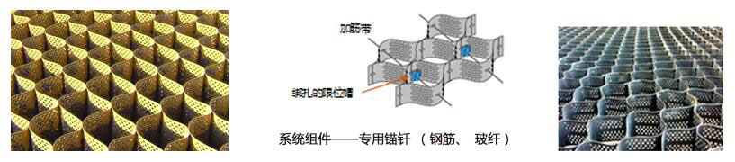 蜂巢約束系統(tǒng)